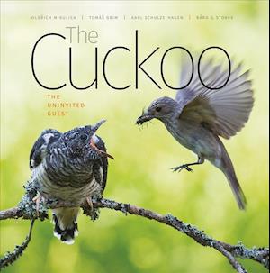 The Cuckoo