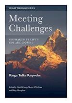 Meeting Challenges: Unshaken by Life's Ups and Downs 