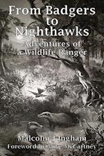 From Badgers to Nighthawks