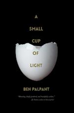 A Small Cup of Light