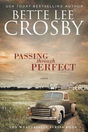 Passing through Perfect: Family Saga (A Wyattsville Novel Book 3)