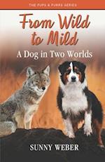 From Wild to Mild: A Dog in Two Worlds 