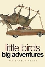 Little Birds Big Adventures