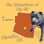 The Adventures of Big Sil Phoenix, AZ