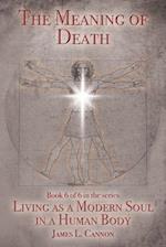 The Meaning of Death: Understanding Death, Experiencing Death and Dying Well 