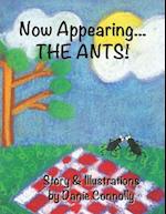 Now Appearing... the Ants
