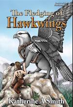 Fledging of Hawkwings