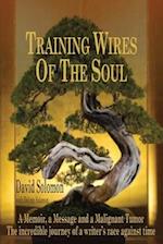 TRAINING WIRES OF THE SOUL The Dead Saints Chronicles: A Memoir, a Message, and a Malignant Tumor 