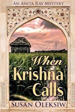 When Krishna Calls: An Anita Ray Mystery 