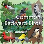 Common Backyard Birds