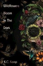 Wildflowers Bloom in the Dark