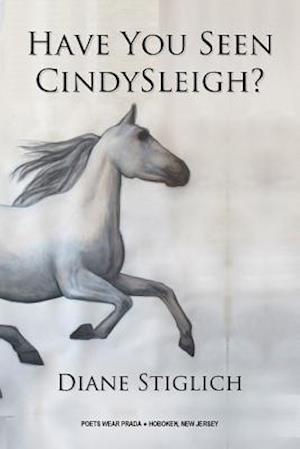 Have You Seen CindySleigh?