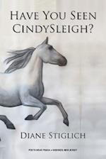 Have You Seen CindySleigh?