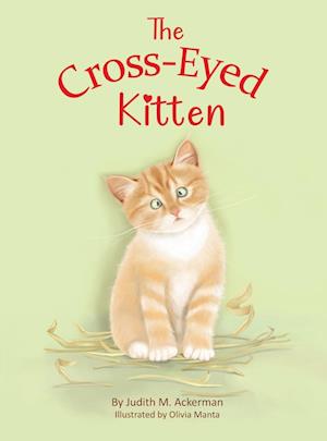 The Cross-Eyed Kitten