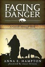 Facing Danger : A Guide Through Risk