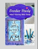 Adult Coloring Bible Study