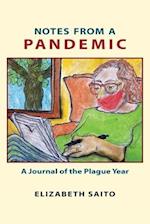 Notes from a Pandemic 