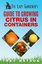 The Lazy Gardener's Guide to Growing Citrus in Containers