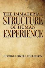 The Immaterial Structure of Human Experience