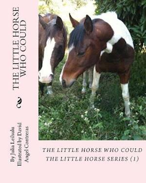 The Little Horse Who Could