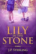 Lily in the Stone