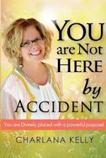 You Are Not Here by Accident