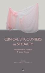Clinical Encounters in Sexuality: Psychoanalytic Practice and Queer Theory 