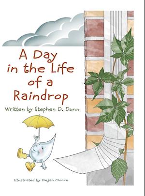 DAY IN THE LIFE OF A RAINDROP