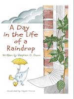 DAY IN THE LIFE OF A RAINDROP