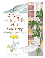 A Day in the Life of a Raindrop