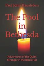The Pool in Bethesda: Adventures of the Quiet Stranger in the Black Hat 