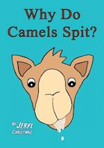 Why Do Camels Spit?