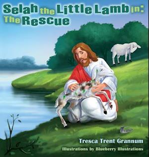 Selah the Little Lamb in