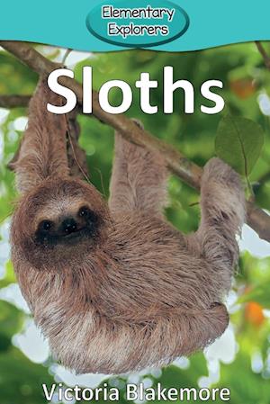 Sloths