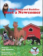 The Barnyard Buddies Meet a Newcomer 