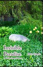 Invisible Paradise