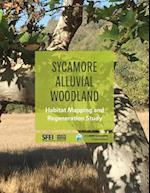 Sycamore Alluvial Woodland