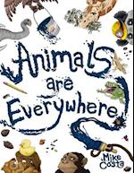 Animals Are Everywhere