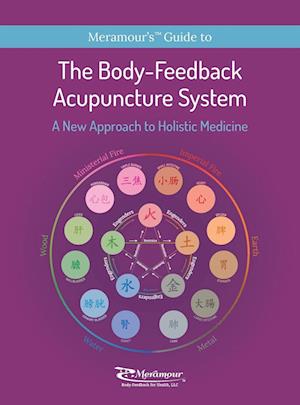 The Body-Feedback Acupuncture System