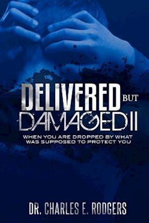 Delivered But Damaged II