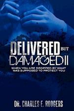 Delivered But Damaged II