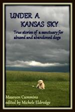 Under a Kansas Sky