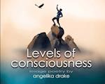 Levels of Consciousness 