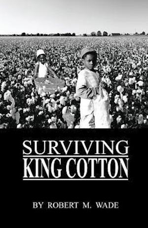 Surviving King Cotton: "Cotton Pickin Po"