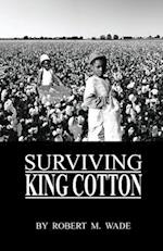 Surviving King Cotton: "Cotton Pickin Po" 