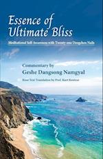 Essence of Ultimate Bliss: Meditational Self-Awareness with Twenty-one Dzogchen nails 