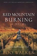 Red Mountain Burning: A Novel 