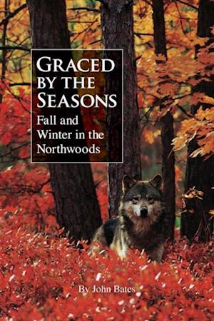 Graced by the Seasons : Fall and Winter in the Northwoods