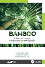 Bamboo