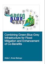 Combining Green-Blue-Grey Infrastructure for Flood Mitigation and Enhancement of Co-Benfits